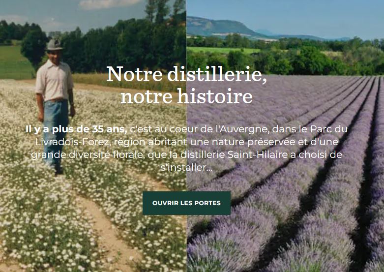 Référencement Huiles Essentielles St Hilaire